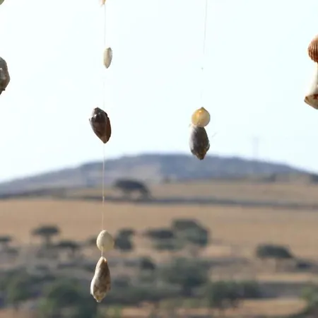 Harama Schinousa شقة